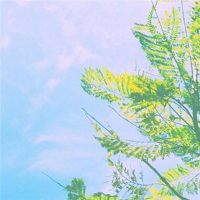 锦鲤三国手游破解版下载